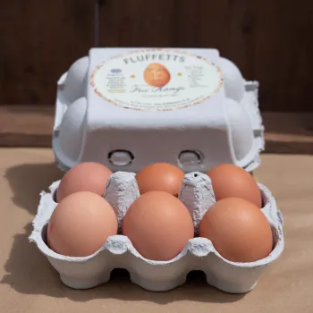 Brown Egg 1/2