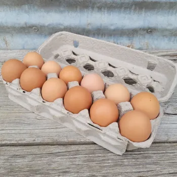 Brown egg 2