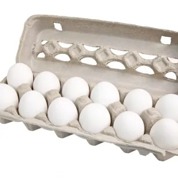 White egg