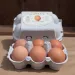 Brown Egg 1/2
