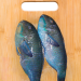 Parrotfish 1