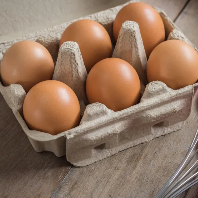 Brown Egg 1/2